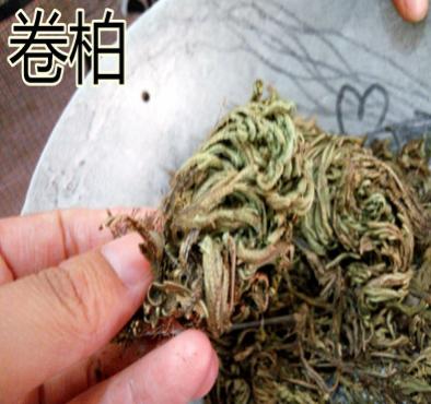 卷柏 中药材草药卷柏图2