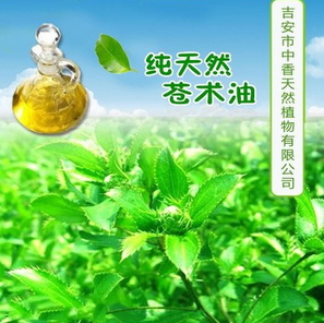 吉安中香植物专业生产苍术油 价格低 天然提取植物精油 中药精油图2