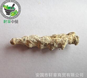 供应中药材 昆虫类药材僵蚕 白僵蚕图2