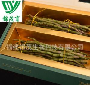 锦茂育YX-02厂家直销 正品铁皮石斛鲜条 南靖铁皮石斛鲜条图3