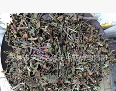 2016年新货 肾茶 批发供应猫须草 肾草 青春不老草图1