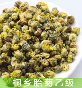 正宗桐乡杭白菊散装头采胎菊王批发 特级花草茶胎菊菊花茶无硫图3