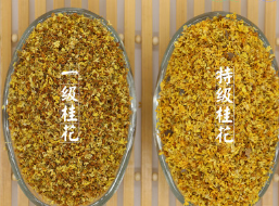 批发供应桂花茶 散装 桂花干 干桂花 精选无硫桂花茶 上枝供应