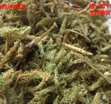 批发伸筋草专业批发舒筋草/龙须草//产地直销/保证正品/假一赔百图2