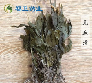 福卫药业 见血清 批发冷背药材 见血青图2