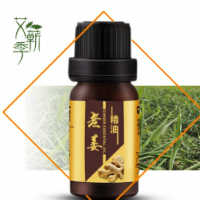 老姜精油植物香薰复方精油10ml 放松活络身体按摩刮痧油 老姜油