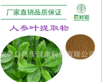 厂家现货供应 人参茎叶总皂苷10% 人参精茎叶提取物图3