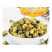 批发供应 胎菊 胎菊王 桐乡胎菊 杭白菊 菊花茶 量大从优保证质量