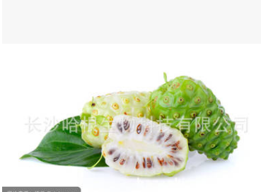 厂家供应 诺丽果粉 Noni Fruit Powder 含商检图2