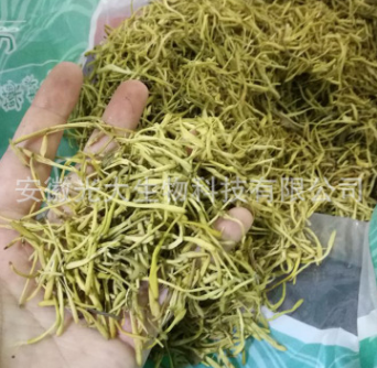 大货金银花 山银花 中药材散装 配药用 宝宝洗澡 湖南产500g新货图2