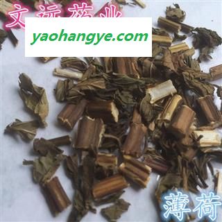 薄荷 灰色片 薄荷 产地 河南省图1