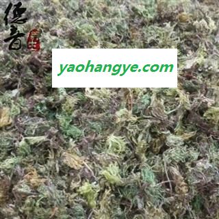 【满包邮】茴心草  回心草 选 产地 四川省 买好货 选德音 正品溯源 规范标准 三证齐全 全品类药材一站购齐图1