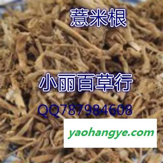 小丽百草行中药材 薏苡根 薏米根 薏苡仁图1