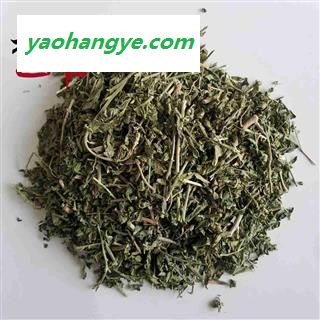 【99包邮】透骨草 统货（1kg）产地浙江 珍珠透骨草图1