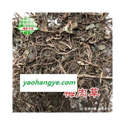 娟子中药行 黄花稔 梅肉草 枚肉草 产地 云南省 买好药找娟子