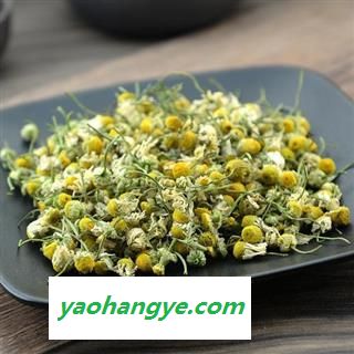 洋甘菊茶 精品货500克 茶用洋甘菊正品保证质量7天无理由退货退款 中药材批发 丽丽药业图1