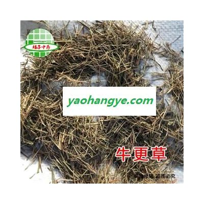 牛更草 牛耿草 牛耕草 正品野生 统货 产地 河北省 娟子中药行 买好药找娟子