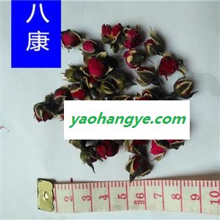 金边玫瑰花 金边01统图1