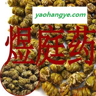 煜庭药业 耳环石斛 铁皮石斛 正品图1