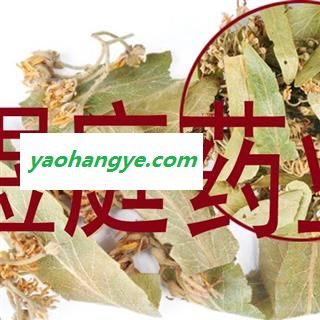 煜庭药业 菩提叶 菩提树花 新货 正品图1