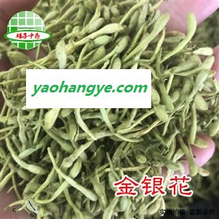 金银花 金银花青花选货 颜色好 味道好 金银花茶 双花 产地 河南省 买好药找娟子 专业批发图1