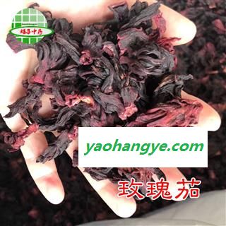 玫瑰茄 玫瑰茄 洛神花-金红梅-红美果 产地 云南省  买好药找娟子图1