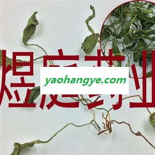 煜庭药业 一枝蓝 一支箭 青藤 蛇咬子 正品图1