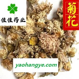 菊花 选 实物图 白菊花 药用菊花 实物图 新货 颜色好 干度好 产地 河北省图1