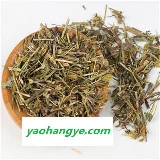 煜庭药业 藏茵陈图1