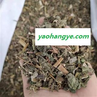 豨莶草 豨莶草统段 产地 山东省图1