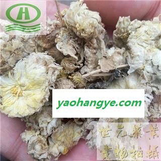 世元药业 菊花 正品 别称-寿客 金英 黄华 秋菊 隐逸花 白菊花图1