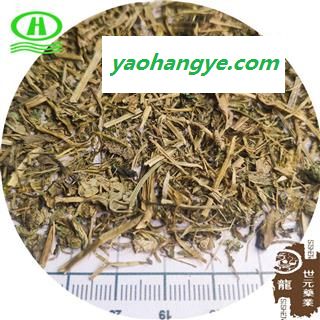 世元药业 蔊菜 正品 别称 辣米菜 江剪刀草 绿豆草图1