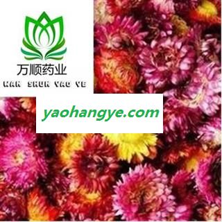 精品七彩菊选货 菊花 质量好 价格低 产地直销   产地 河南省图1