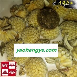 绿萝花 正品 结香 黄金葛 藤芋 石柑子 马蹄金 清三高花图1