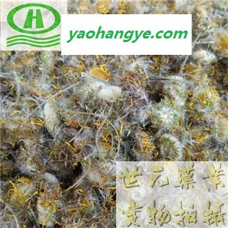 世元药业 旋复花 正品 别称-旋覆花 驴儿草 百叶草 金钱花 猫耳朵花图1