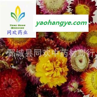 【七彩菊  菊花】@【同欢药材】中药材批发供应  规格齐全 量大从优  产地 河南省图1