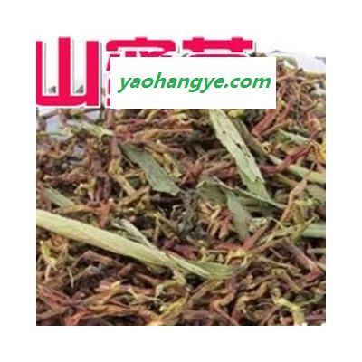 山蜜草 山蜜草茶 长寿菜正品保证质量无理由退货退款