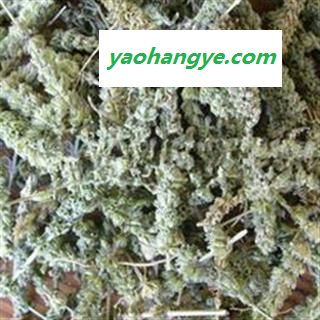 荆芥穗 统货 纯青色 有一定量子  产地 山东省图1