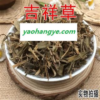 中药材吉祥草 玉带草 观音草 小叶万年青图1