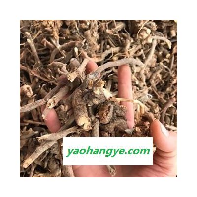 山白芷 羊耳菊 毛柴胡 白牛胆 正品保证质量 丽丽药业