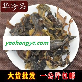 昆布 01 昆布 统 产地 广西壮族自治区桂林市市辖区图1