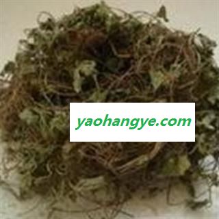 京辉药业 积雪草 崩大碗 正品 促销图1