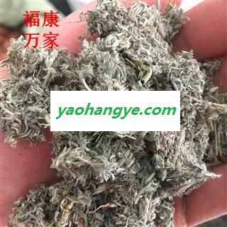 绵茵陈 绵茵陈灰白色统段 产地 甘肃省图1