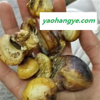 小丽百草行 徽琼果惠琼灵芝 辉琼果 徽穷果 灰琼果 新货无硫辉琼果图1