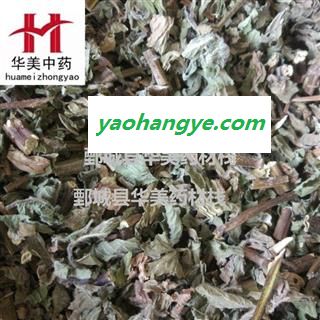 薄荷 统 产地 山东省 华美中药 产地直销 重在品质图1