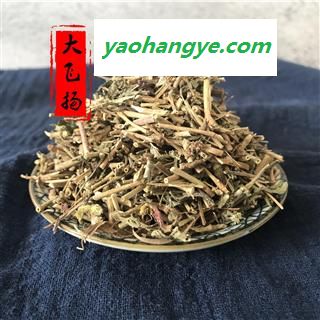 中药材大飞扬草大乳汁草 奶子草 大飞扬 节节花图1