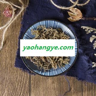 垂盆草 垂盆草 老鼠芽 狗牙草 瓜子草 石指甲 狗牙瓣中草药图1