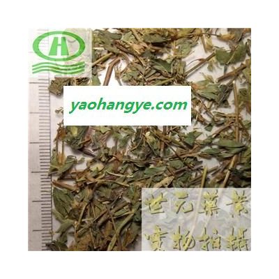 世元药业 田字草 正品 别称-四叶草 四叶苹 水草头 水金花头 野草头 野连菜 野极菜 十字草 妹妹草 破铜钱草 夜里串 夜爬山