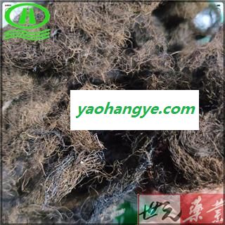 世元药业 头发七 正品100g/袋 黑丝草 人头七 黑丝带 亚洲树发 双色树发 沟树发图1