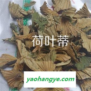 小丽百草行荷叶蒂  莲蒂 荷鼻 荷蒂图1